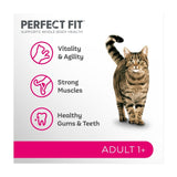 Perfect Fit dry cat food adult 1+ chicken - British product