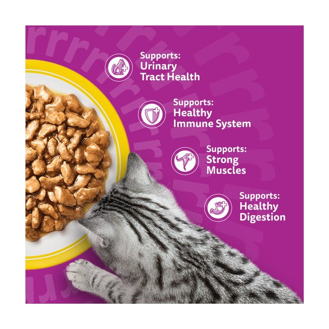Whiskas senior cat food pouches poultry feasts in gravy 12 x 85g (British brand)