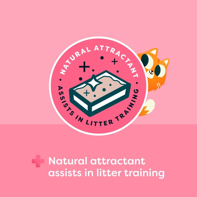 Breeder Celect Pro Biotic Kitten Paper Cat Litter 10L - British product