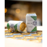 Small Beer IPA 330ml (British brand)