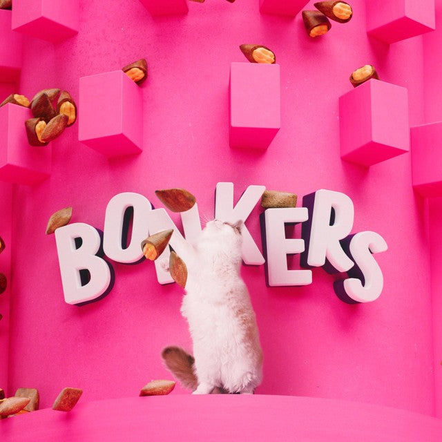 Bonkers Salmon Supreme cat treats pouch, UK version