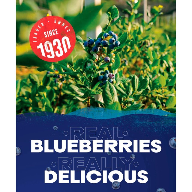 Ocean Spray blueberry juice drink 1L, imported from the UK