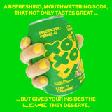 XOXO Sparkling Ginger & Lemon Soda 4 x 330ml (British brand)