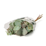 MM Flowers eucalyptus 5 stems 40cm - British product