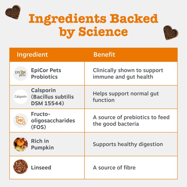 Zesty Paws dog chews probiotic pumpkin flavour - British product