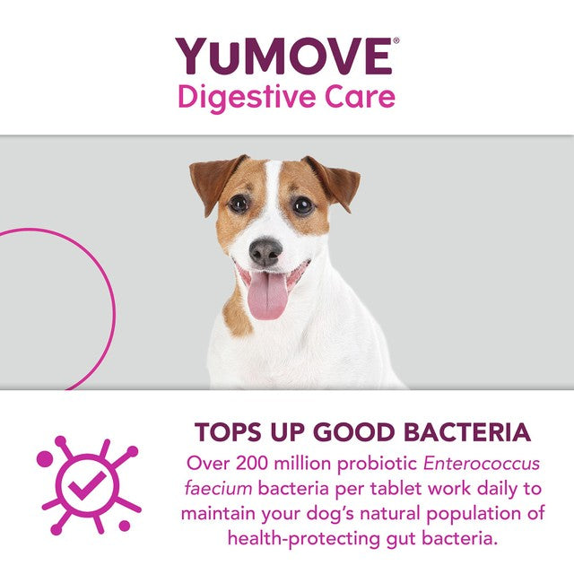 Lintbells YuMOVE dog probiotic supplement 120 tablets (British brand)