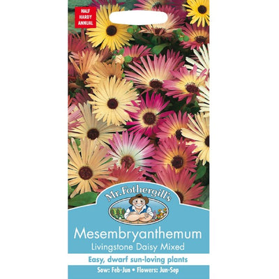 Mr Fothergills Mesembryanthemum Livingstone Daisy Blomsterfrø