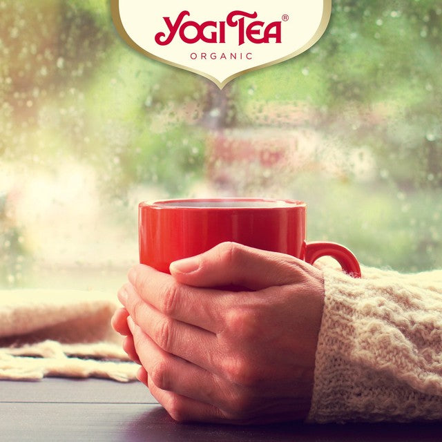 Yogi Tea Herbal Tea Women's Energy 17 bags (British brand)