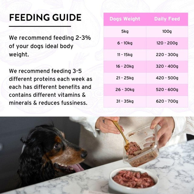 Benyfit Natural sensitive raw dog food 1kg - British product