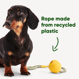 Beco Pets Natural Rubber Slinger Ball yellow - British product
