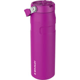 Stanley IceFlow 0.71L Violet Blossom Tumbler (British brand)