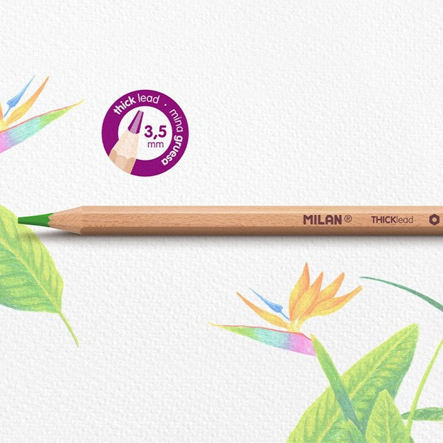 Milan 12 hexagonal colour pencils with thick lead, imported from the UK