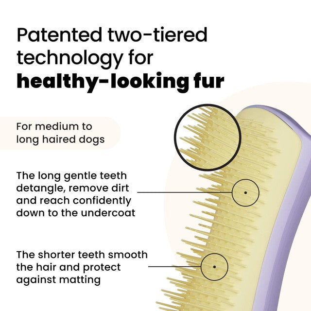 Tangle Teezer small dog grooming brush lilac yellow, imported from the UK