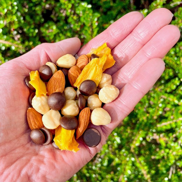 Nibble Simply Choccy Hazelnut Mango trail mix 32g, imported from the UK