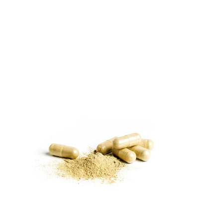 Daylesford Hush Nattlige Botaniske Midler og Vitaminer Søvntilskudd 60 Kapsler