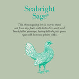 Clarence Court sage green eggs 6 - British product
