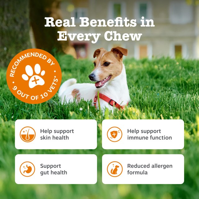 Zesty Paws dog chews Allergy Immunity supplement (British brand)