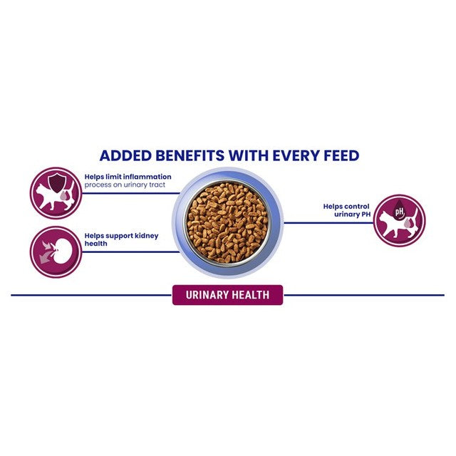 Purina One urinary health chicken dry cat food 750g, imported from the UK