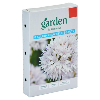 Allium Graceful Beauty Blomsterfrø, Pakke med 8