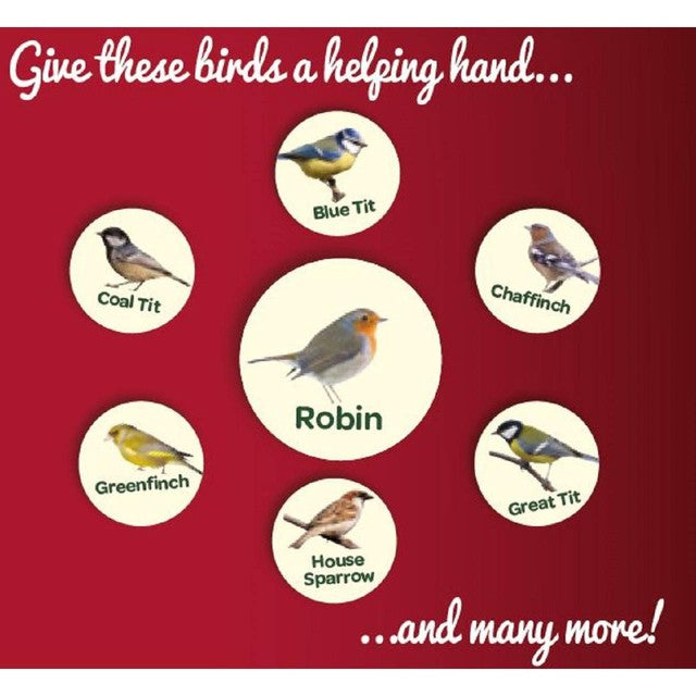Peckish Robin bird seed and insect mix 1kg, imported from the UK