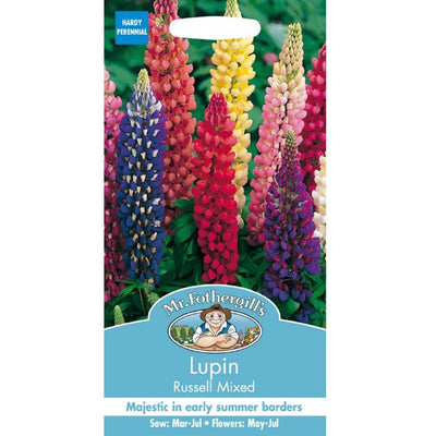 Mr Fothergills Frø Lupin Russell Blandede Blomsterfrø 75 frø