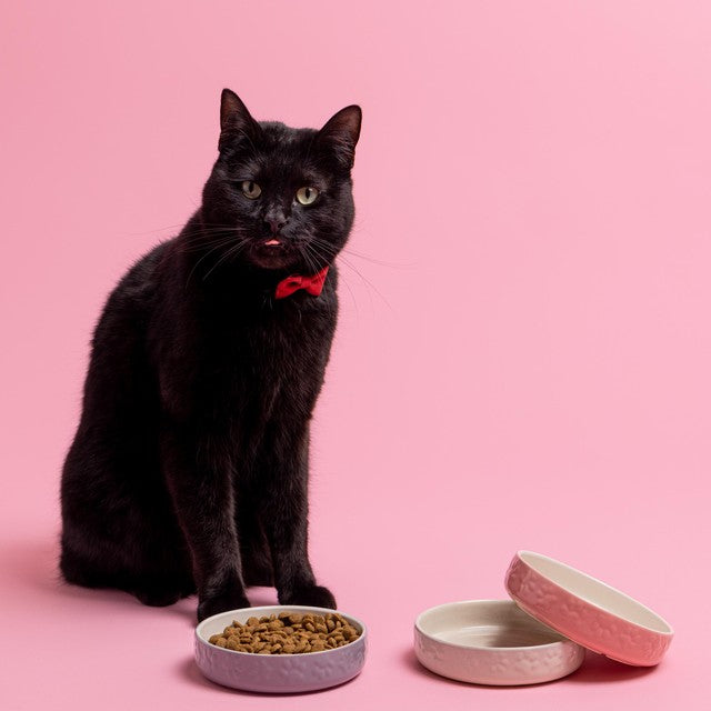 Mason Cash pink cat saucer 13cm, imported from the UK
