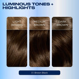 Clairol Nice'n Easy hair dye 3 Brown Black 60ml - British product
