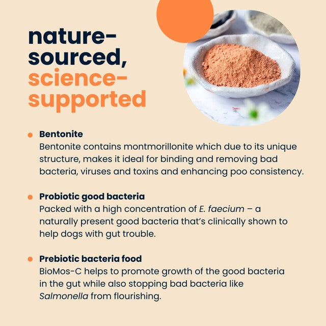 Seraquin Digest Paste for cats and dogs - British product