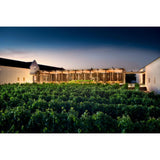 Babylonstoren Babel Red Blend 75cl - British product