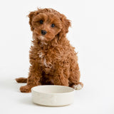 Mason Cash cream dog bowl 15cm, imported from the UK