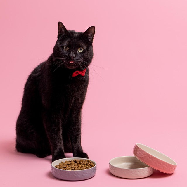 Mason Cash Colour Mix Grey cat saucer 13cm, imported from the UK