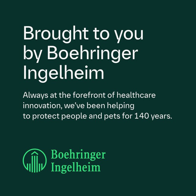 Frontline flea treatment for large dogs 20-40kg - British product