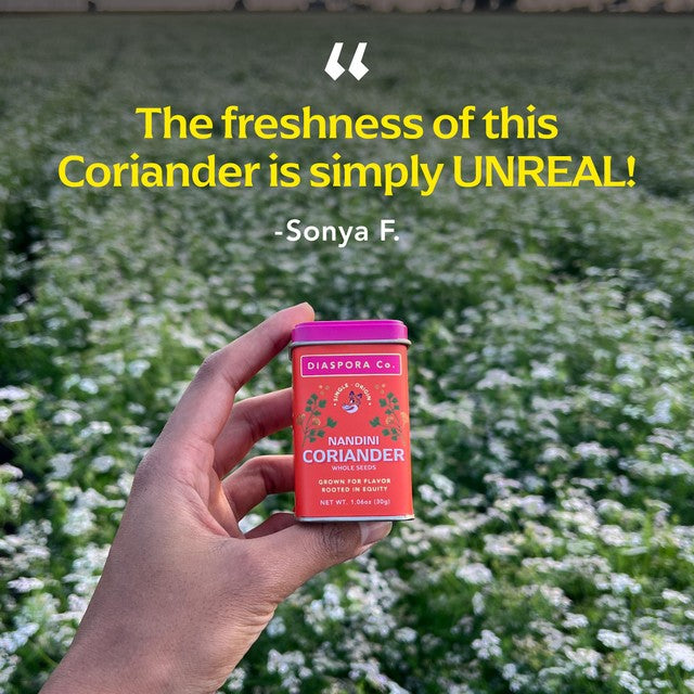 Diaspora Co. Nandini whole coriander seeds 30g - British product
