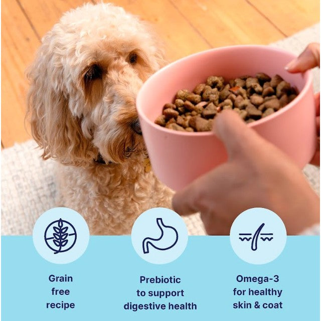 Tails dry dog food salmon 2kg (British brand)