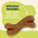 Good Boy Chompers Daily Dental Bone Chew for dogs, UK version