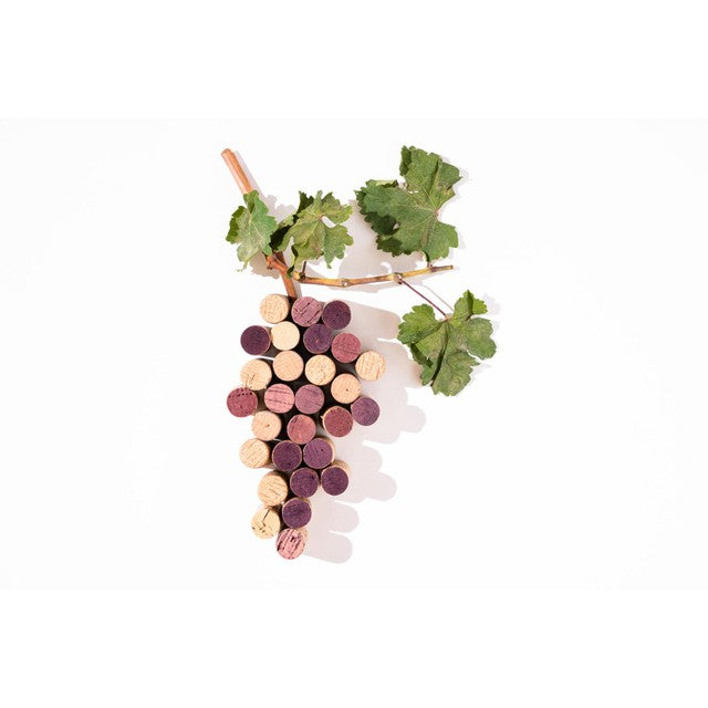 Babylonstoren Chenin Blanc white wine 75cl - British product