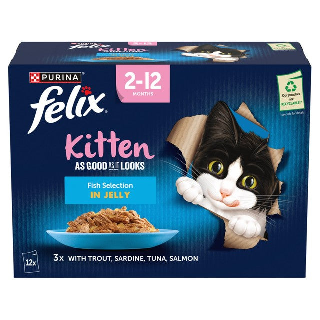 Felix kitten fish jelly cat food 12x85g - British product