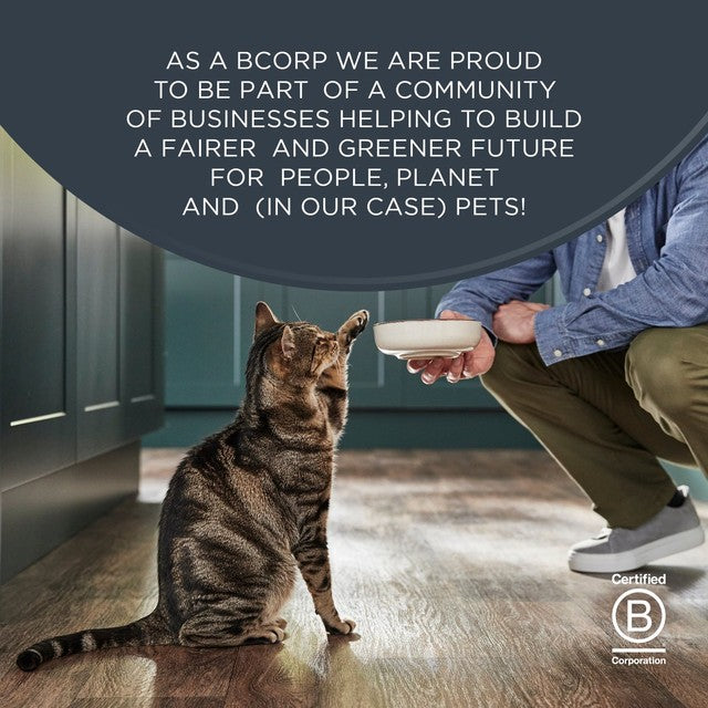 Encore wet cat food fish selection pouches - British product