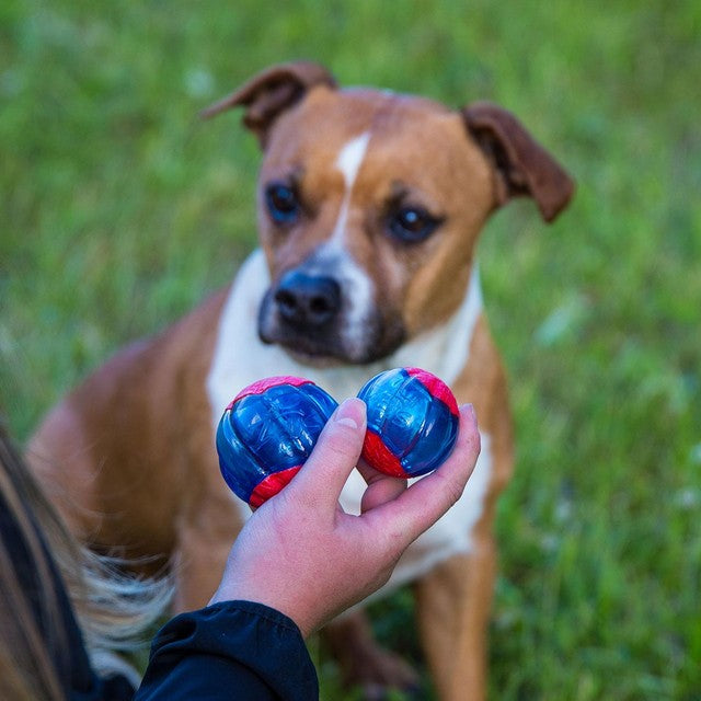 Zeus Duo Ball with LED 6.3cm (British brand)