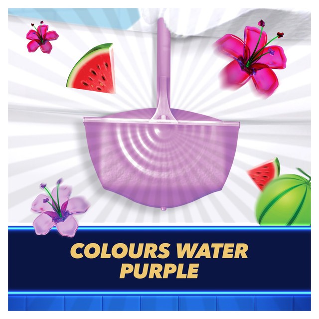 Toilet Duck Watermelon Whirlwind rim block cleaner - British product