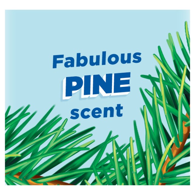 Toilet Duck Toilet Liquid Cleaner Pine 750ml - British product