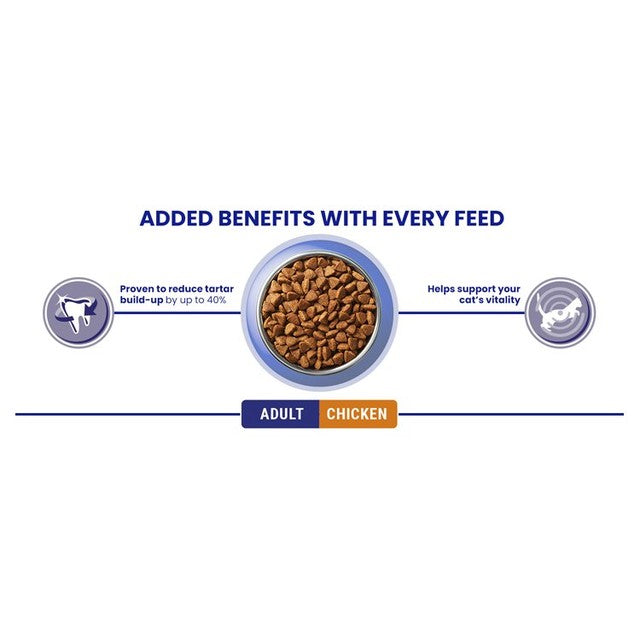 Purina One chicken dry cat food 800g, imported from the UK