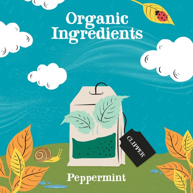 Clipper peppermint tea bags 20 bags - British product