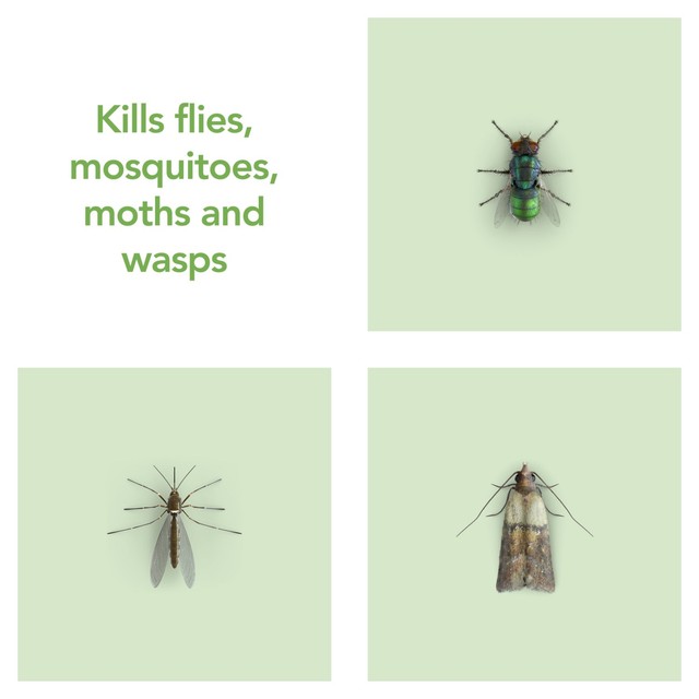 Raid Plant Based Fly Killer spray 300ml, imported from the UK
