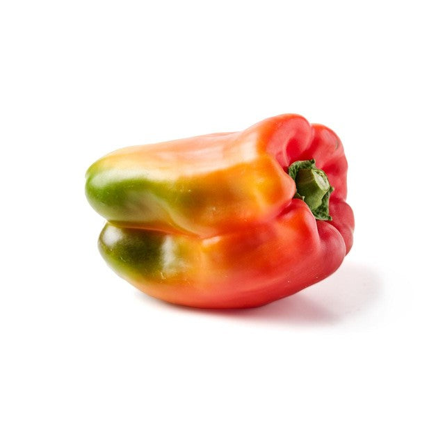 Natoora red and green large peppers, imported from the UK