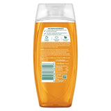 Radox Feel Revived Mood Boosting Shower Gel 225ml, imported from the UK