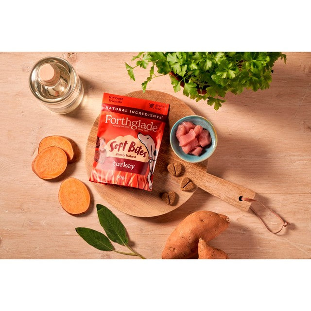 Forthglade dog treats with turkey 90g - British product