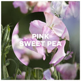 Airwick Pink Sweet Pea air freshener refill 250ml - British product