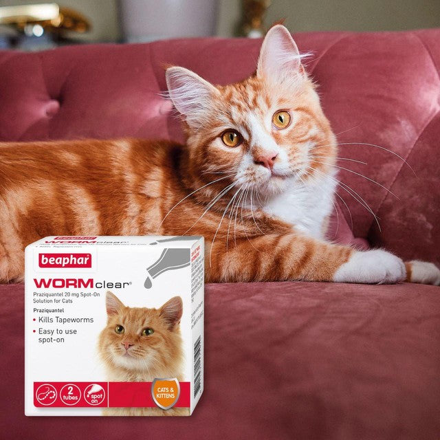 Beaphar WORMclear Spot-On for Cats - British product