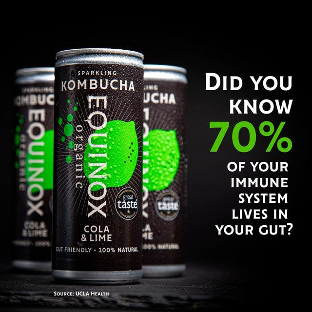 Equinox organic cola and lime kombucha can (British brand)